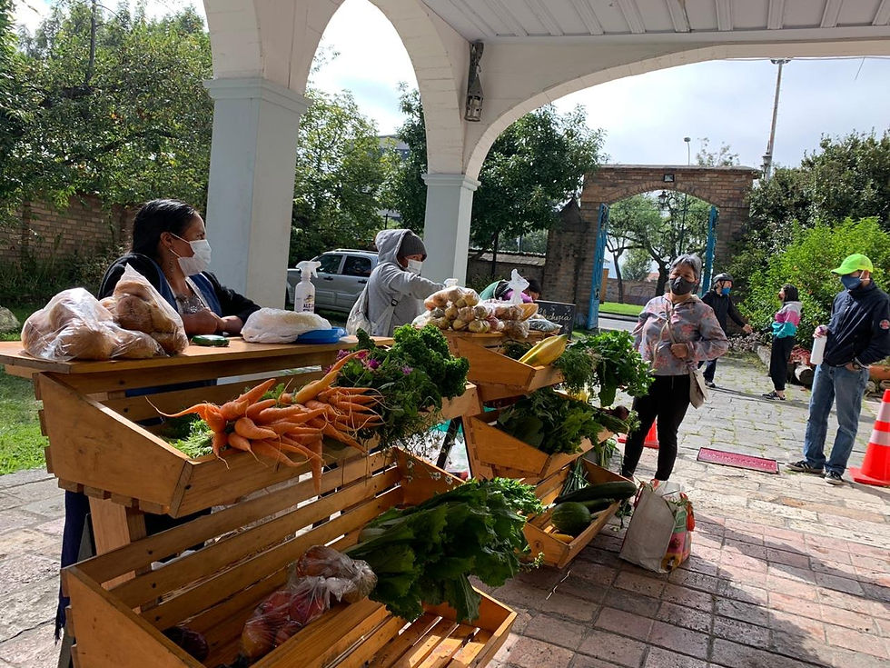 Productores de APAY participaron en la primera Feria Agroecológica