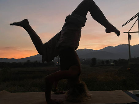 Pai's Angels: Sponsored by Steamed Buns and Condensed Milk