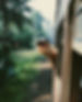 DB068DD9-C9BB-43FC-A75C-4B5D7F0BEFF8.jpeg
