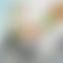 سريلانكا تصادق على اتفاقية إعادة هيكلة ديونها السيادية بقيمة 12.5 مليار دولار