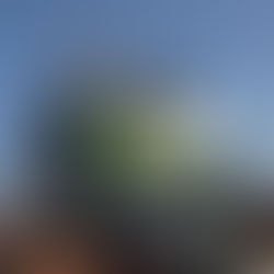 "زلزال الكاف": السنغال ترفض تجريدها من لقب "كان 2025" وتطالب بتحقيق دولي في شبهات فساد