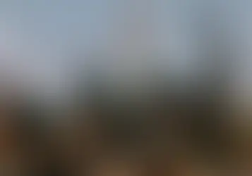 Israeli Reports: Gaza Militia Fighters Surrender to Hamas; Group Open to Freezing Weapons as Part of Ceasefire