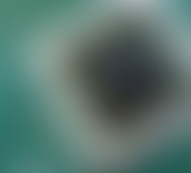 ترامب: شرائح "إنفيديا" الأكثر تطوراً مخصصة للشركات الأمريكية فقط.. ولن نُعطِ شريحة "بلاكويل" للصين