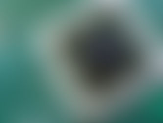 ترامب: شرائح "إنفيديا" الأكثر تطوراً مخصصة للشركات الأمريكية فقط.. ولن نُعطِ شريحة "بلاكويل" للصين