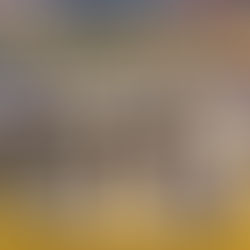 المرشحون الأقل شهرة في انتخابات الرئاسة الأمريكية لعام 2024 وتأثيرهم المحتمل