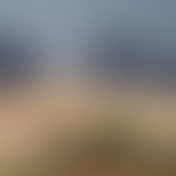  Palestinian Source: Accepting Trump’s Plan is a Disaster, Rejecting it is Another—Hamas Under Pressure Amid Gaza Shelling