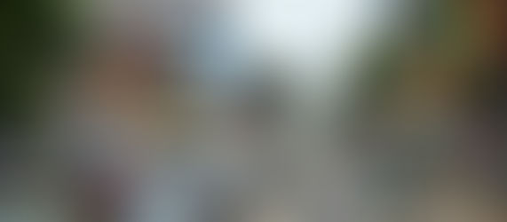 (وسائط متعددة) مقالة خاصة: الأرز الهجين يعزز العلاقات الصينية-الإفريقية وإرث يوان لونغ بينغ يعود بالنفع على الملايين في جميع أنحاء القارة