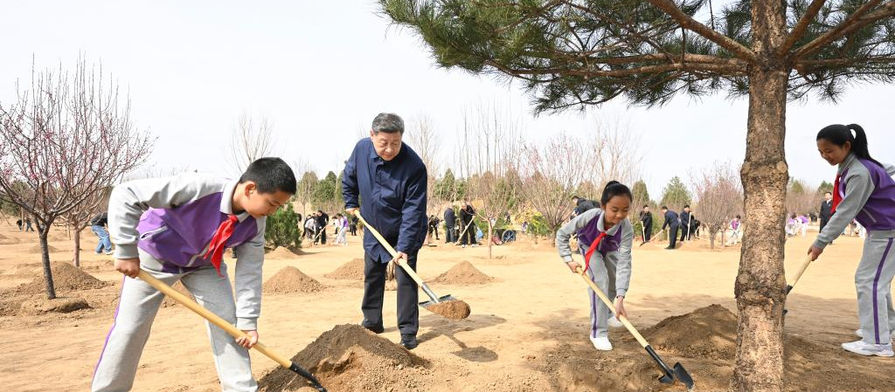 شي يحث على حشد المجتمع بأكمله في جهود غرس الأشجار