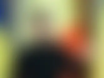 Western Solidarity Anchors Zelenskyy’s Mission to Florida: A United Front Ahead of the Trump Summit