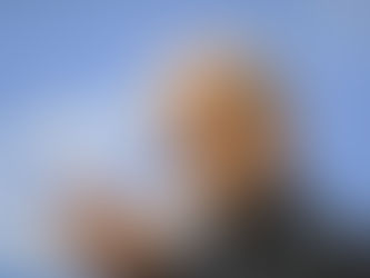 (وسائط متعددة) الرئيس الإيراني: الانتقام والثأر لاغتيال خامنئي "واجب وحق مشروع لنا"