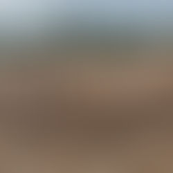 الصين :اكتشاف مقبرة أثرية تعود لـ 5 آلاف عام