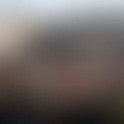 Une Grève Générale Paralyse l'Italie en Solidarité avec Gaza