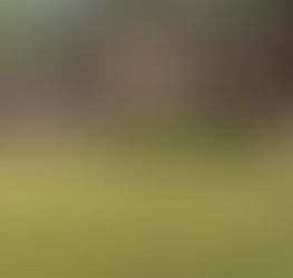 رقيب يطلق النار على زملائه في قاعدة فورت ستيوارت: دوافع غامضة وتساؤلات حول الأمن