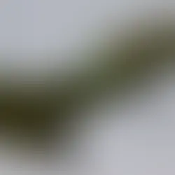 Rafale F4.1 et J-10C : L'Égypte brise les verrous technologiques et inquiète Israël par sa nouvelle puissance aérienne