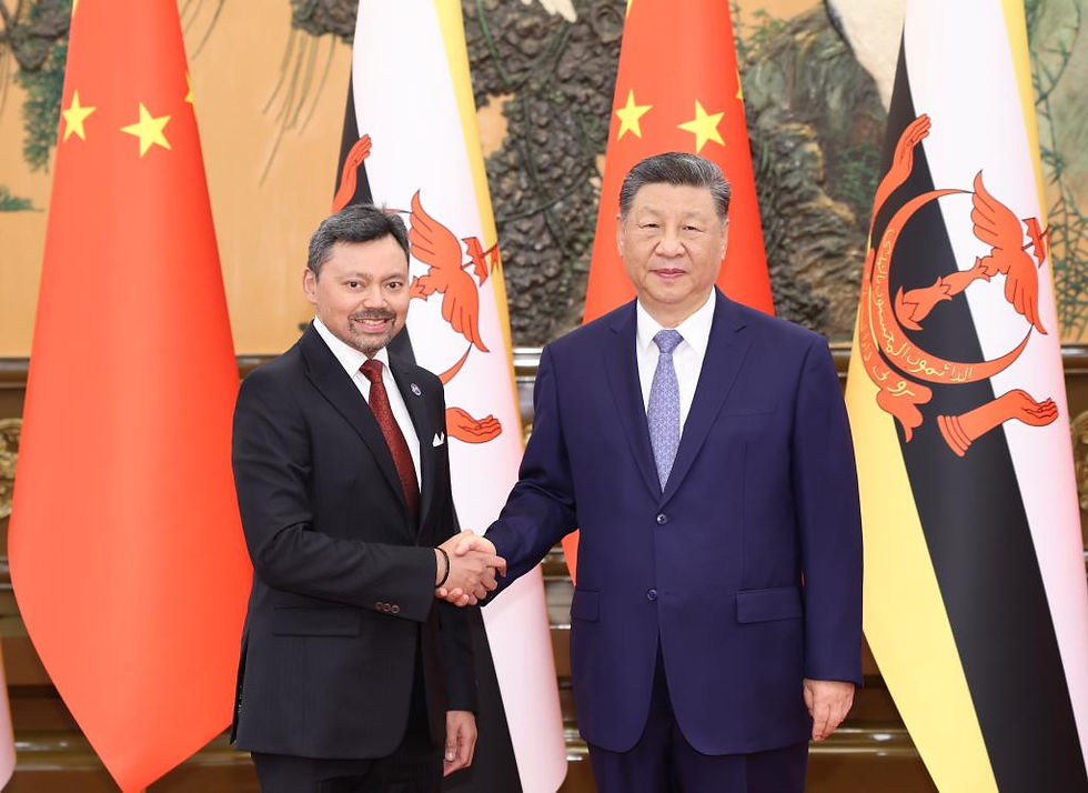 Xi meets Brunei's crown prince, calling for deepening practical cooperation