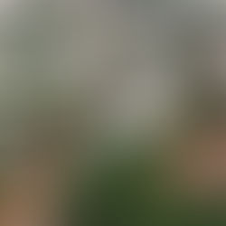 أمطار الصين الكارثية: عشرات القتلى وإجلاء أكثر من 80 ألف شخص في بكين