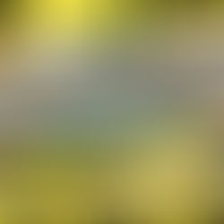 صفعة قضائية لترامب: محكمة التجارة تُلزم واشنطن برد 175 مليار دولار من الرسوم "غير القانونية"