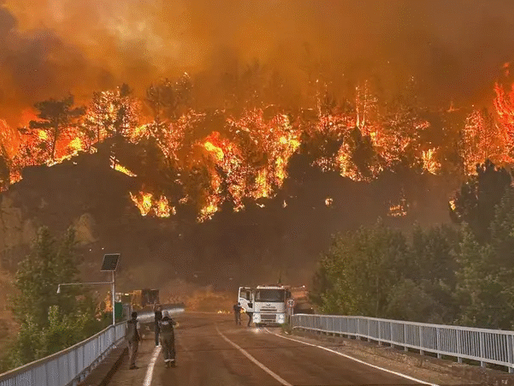 Escaping the Flames: Wildfires Threaten Turkey's Fourth-Largest City