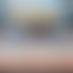 Interview: China's commitment to multilateralism a stabilizing anchor in volatile world, says leading consultancy director