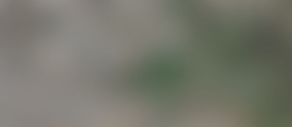 "رفات الحلفاء" تحت عجلات الجرافات.. صور الأقمار الاصطناعية توثق تجريف إسرائيل لمقبرة جنود بريطانيين وأستراليين في غزة