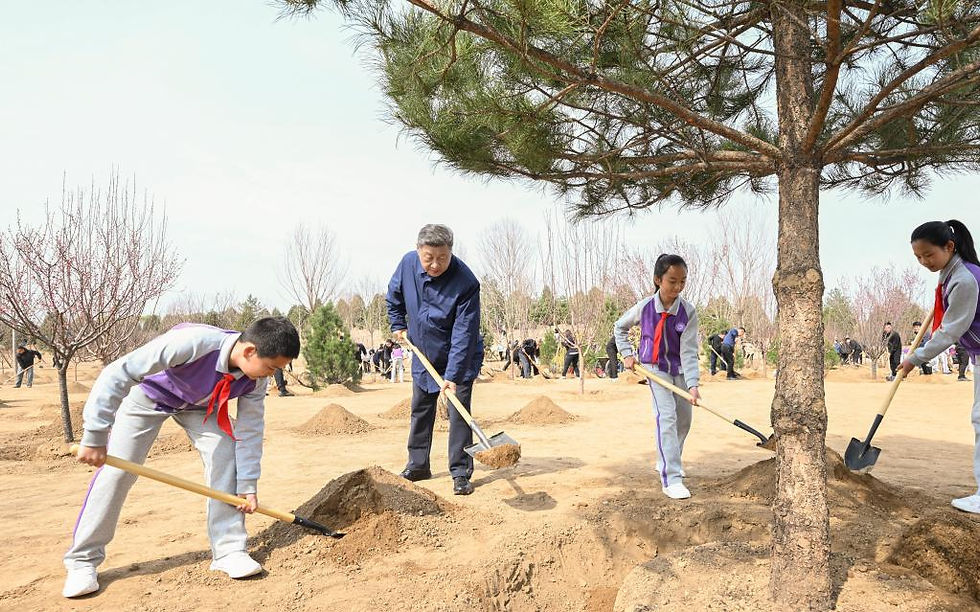 شي يحث على حشد المجتمع بأكمله في جهود غرس الأشجار