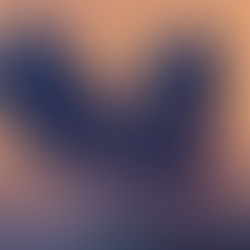 عملية "زئير الأسد": إسرائيل تُعلن شل 300 منظومة إيرانية واختراق العمق النووي لطهران