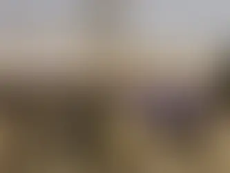 Les États-Unis Sanctionnent un Réseau Colombien de Recrutement pour les Forces de Soutien Rapide (FSR) au Soudan