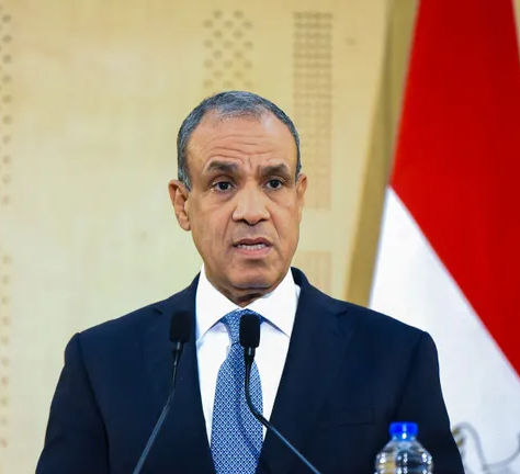 Le Ministre Égyptien des Affaires Étrangères Rejette tout Changement Géographique à Gaza
