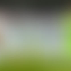 (وسائط متعددة) مقالة خاصة: الرياضة.. ساحة أخرى للمواجهة بين أمريكا وإيران