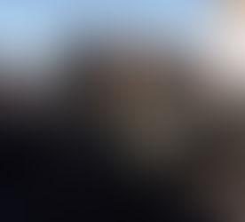 Guerre de 2025 : L'armée russe s'empare de Pokrovsk et Myrnohrad, verrouillant le front est