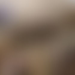 Macron défie Trump : La France déploie des troupes au Groenland pour soutenir le Danemark