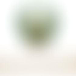 Le Bouclier Émirati Inflexible : Interception de 3 Missiles Balistiques et 121 Drones ce Mercredi