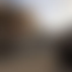 Trêve brisée à Gaza : 479 Palestiniens tués lors de plus de 1 200 violations israéliennes