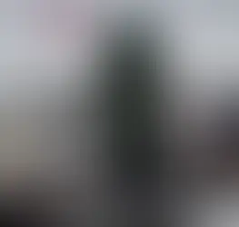 Guerre polaire : Trump impose des taxes douanières à l'Europe pour le Groenland ; Macron dénonce une "intimidation inacceptable"