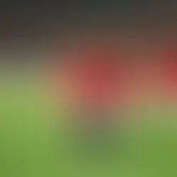 Presse du Zimbabwe : « Le nul est un rêve » face à l'Égypte, la peur du choc inaugural