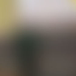 شي يهنئ صحيفة جيش التحرير الشعبي الصيني اليومية بمناسبة الذكرى الـ70 لتأسيسها