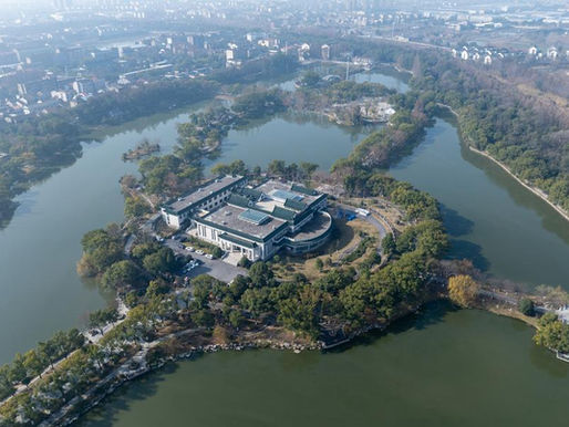 Culture&Life | Innovative techniques boost preservation of organic cultural relics