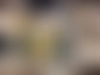 Network Smuggling Weapons from Syria to Israel Exposed