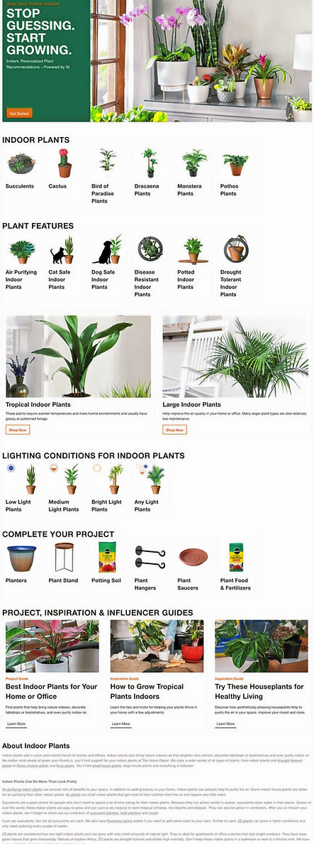 D28O-Indoor Plants_edited_edited.jpg