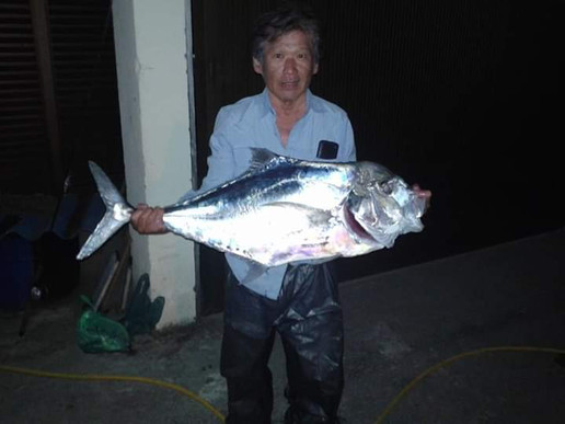 WhatsApp Image 2020-02-10 at 16.51.18.jp