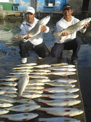 WhatsApp Image 2020-02-10 at 16.50.31.jp