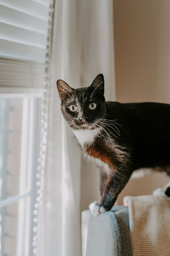 Chloe Margaret-74.jpg