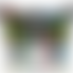 Ecumaster RF Steering Wheel Panel - Wireless