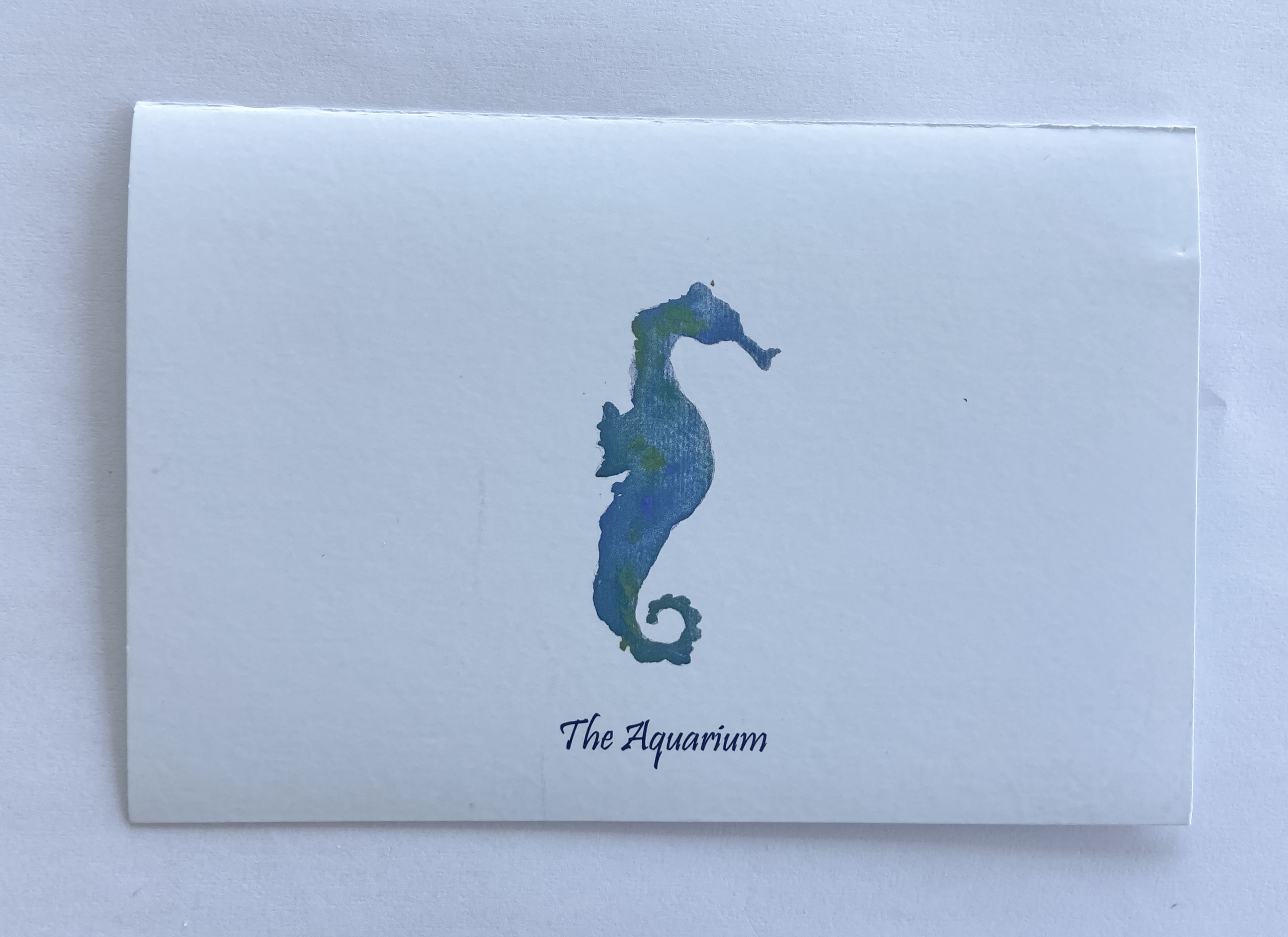 Aquarium - Seahorse