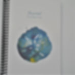 Thumbnail: Sand Dollar Journal