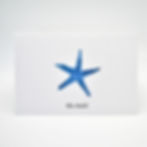 Blue Starfish