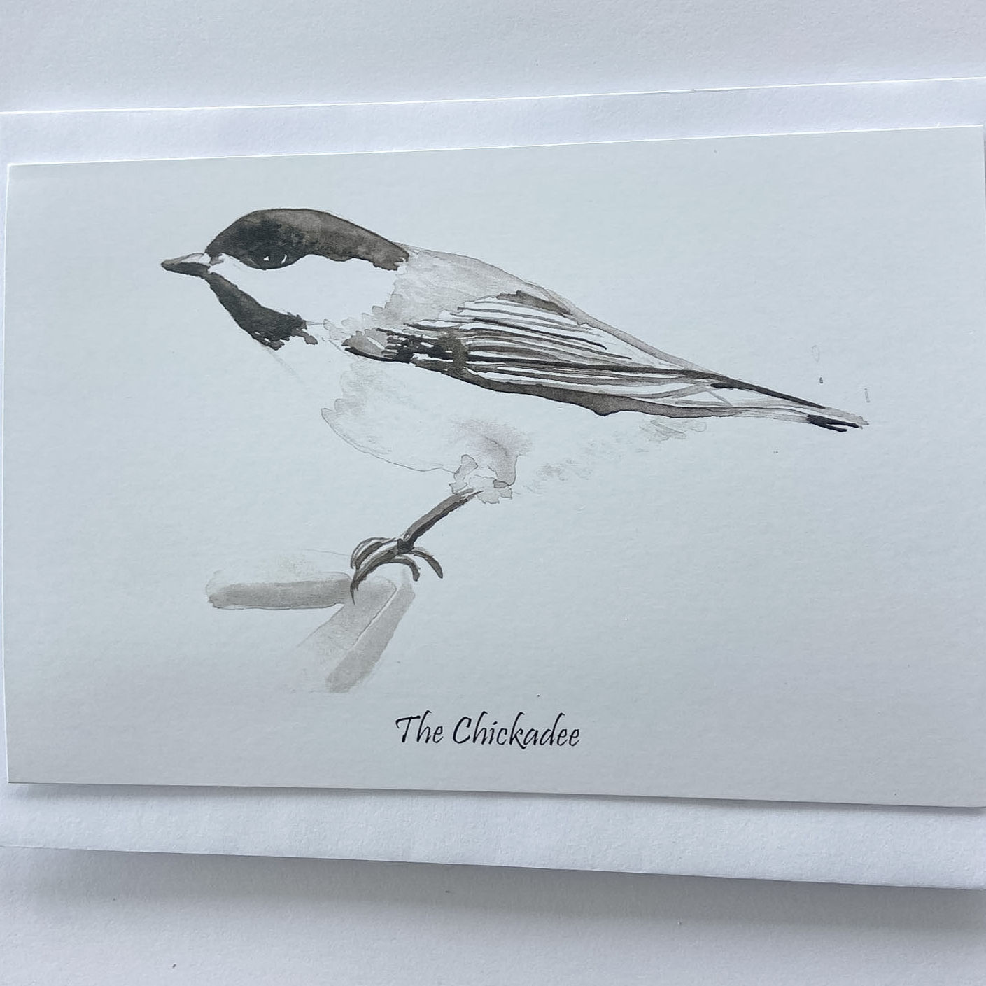 Chickadee