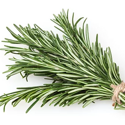 Screenshot 2021-11-24 at 9.20.57 PM.png