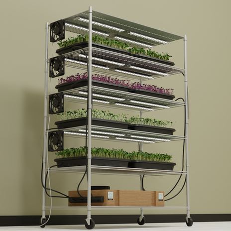 Microgreen Station Second View.png