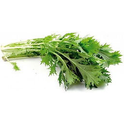 Asian Greens - Mizuna.jpeg